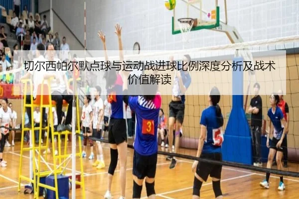 切尔西帕尔默点球与运动战进球比例深度分析及战术价值解读